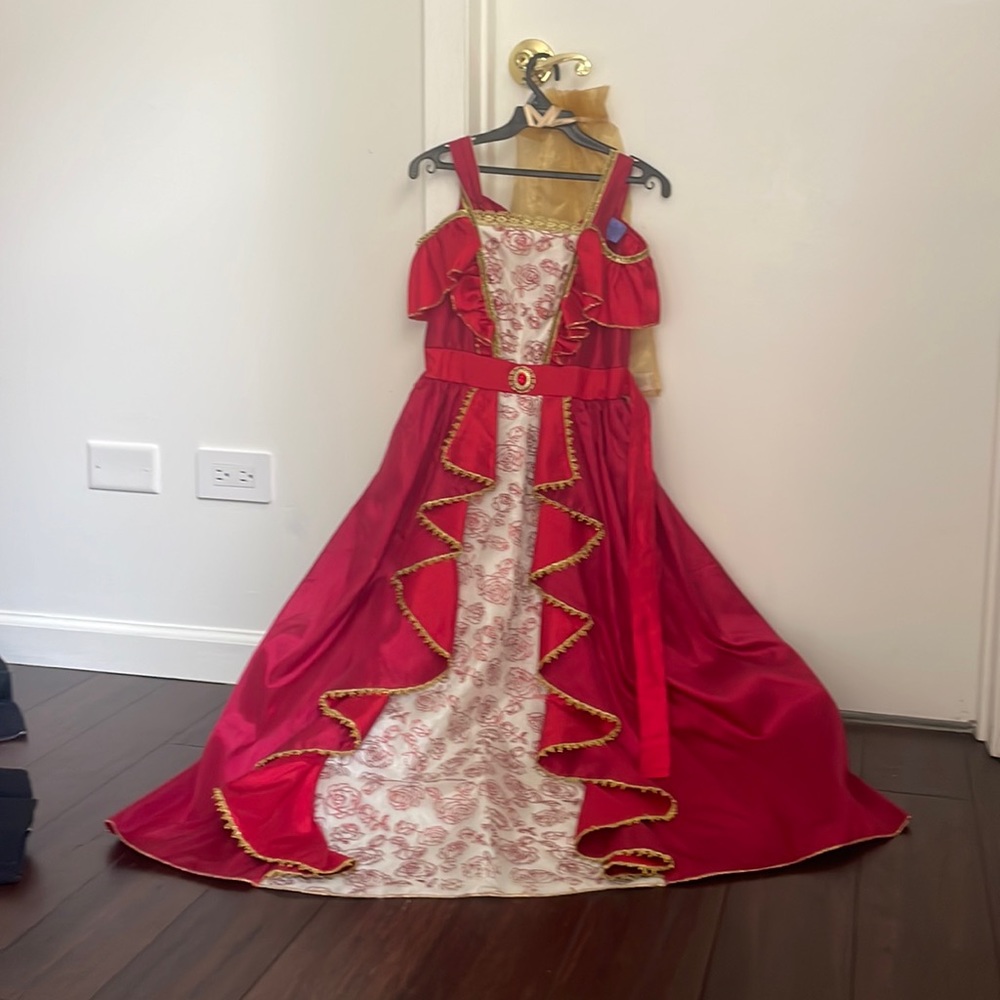 Kids princess Halloween costume. COMES WITH THE DRESS HOOP